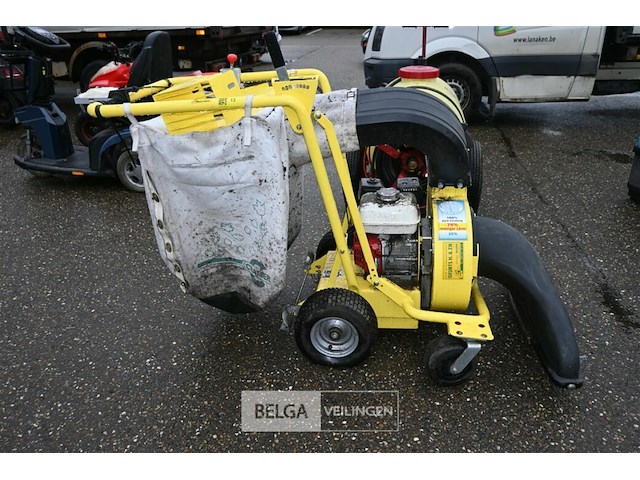 Bladzuiger cramer - afbeelding 2 van  7