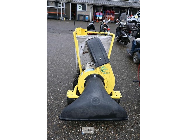 Bladzuiger cramer - afbeelding 3 van  7