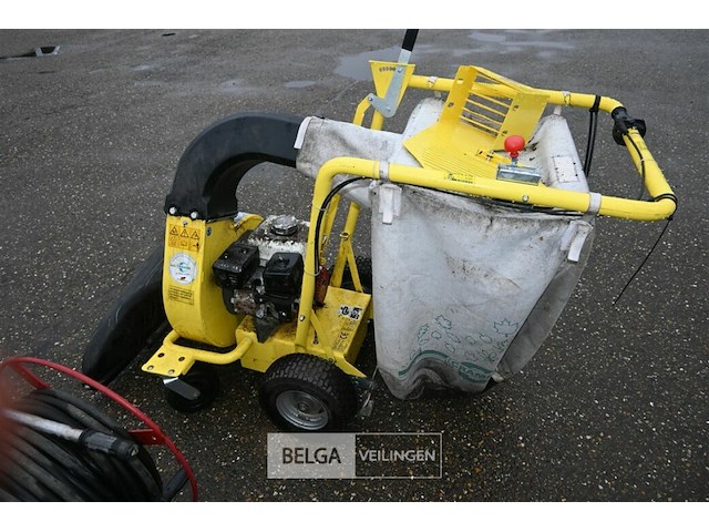 Bladzuiger cramer - afbeelding 4 van  7