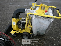 Bladzuiger cramer - afbeelding 4 van  7