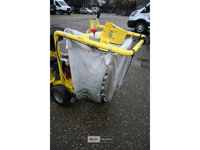 Bladzuiger cramer - afbeelding 7 van  7