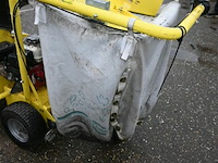 Bladzuiger cramer - afbeelding 7 van  7