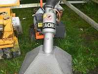 Bladzuiger zacho - afbeelding 1 van  6