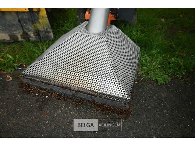 Bladzuiger zacho - afbeelding 2 van  6