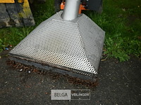 Bladzuiger zacho - afbeelding 2 van  6