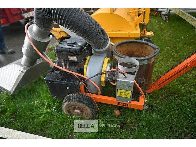 Bladzuiger zacho - afbeelding 3 van  6