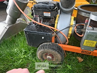 Bladzuiger zacho - afbeelding 6 van  6