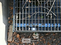 Bladzuigmachine billy goat - afbeelding 5 van  5