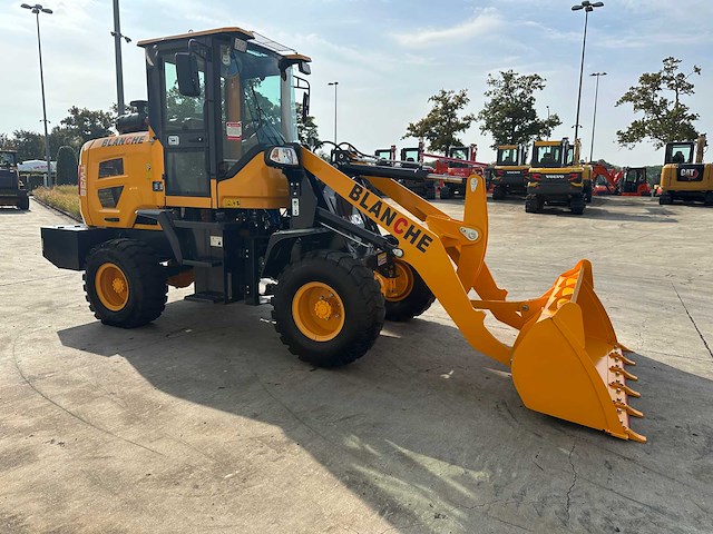 Blanche - 2025 - tw36 - shovel - afbeelding 23 van  38