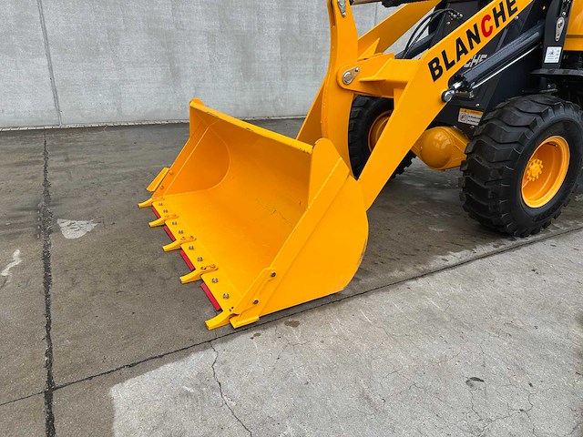 Blanche - 2025 - tw36 - shovel - afbeelding 30 van  31