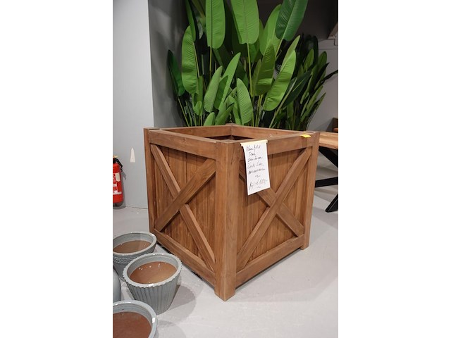 Bloembak coste line - afbeelding 3 van  6