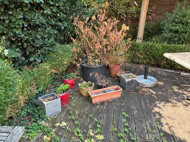 Bloembakken en tuindecoratie - afbeelding 4 van  12