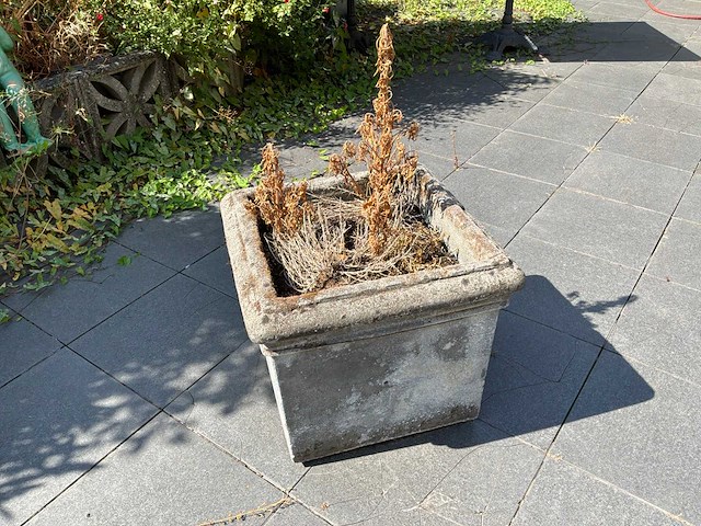 Bloembakken en tuindecoratie - afbeelding 7 van  12