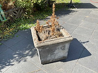 Bloembakken en tuindecoratie - afbeelding 7 van  13