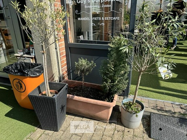 Bloembakken met planten - afbeelding 4 van  9