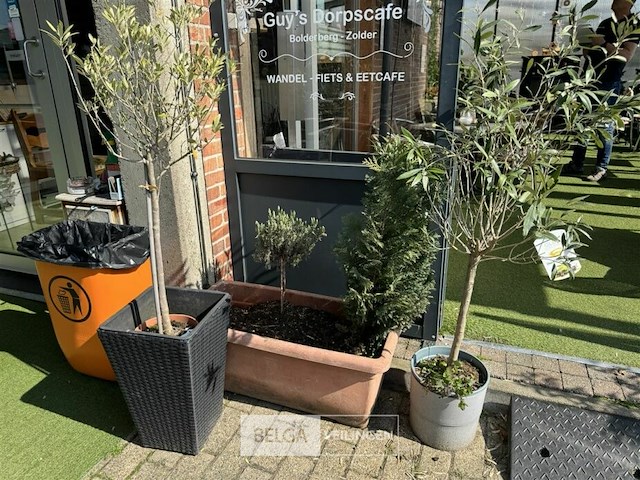 Bloembakken met planten - afbeelding 5 van  9