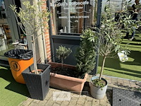 Bloembakken met planten - afbeelding 5 van  9