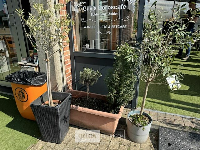 Bloembakken met planten - afbeelding 6 van  9