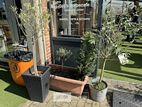 Bloembakken met planten - afbeelding 6 van  9