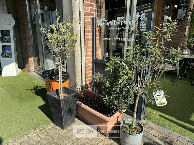 Bloembakken met planten - afbeelding 9 van  9