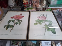 Bloemenkader - afbeelding 1 van  1