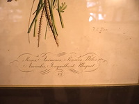 Bloemenprent in kader (x2) - afbeelding 3 van  6