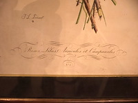 Bloemenprent in kader (x2) - afbeelding 5 van  6