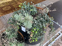 Bloempot (2x) - afbeelding 3 van  4