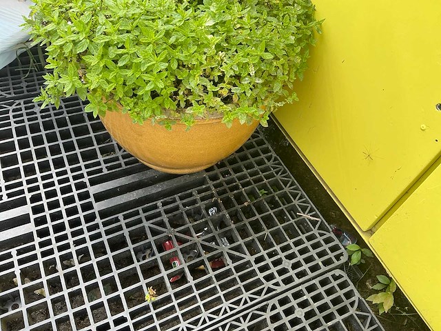 Bloempot (2x) - afbeelding 4 van  4