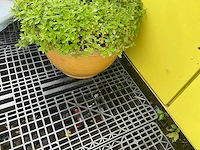 Bloempot (2x) - afbeelding 4 van  4