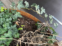 Bloempot (2x) - afbeelding 4 van  4