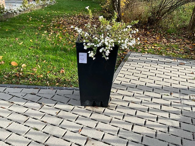 Bloempot (5x) - afbeelding 1 van  5