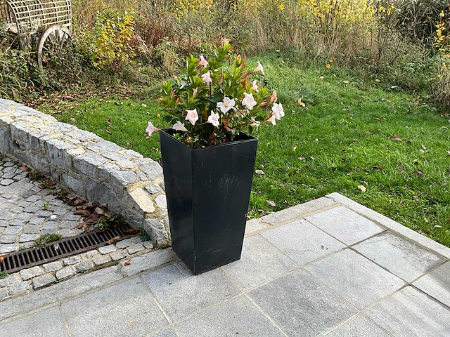 Bloempot (5x) - afbeelding 3 van  5