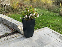 Bloempot (5x) - afbeelding 3 van  5