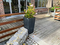 Bloempot (5x) - afbeelding 4 van  5