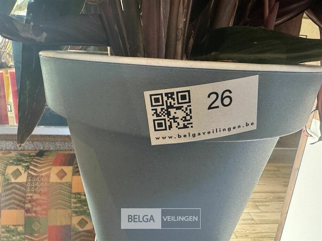 Bloempot met plant - afbeelding 4 van  4