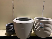 Bloempotten - afbeelding 1 van  3