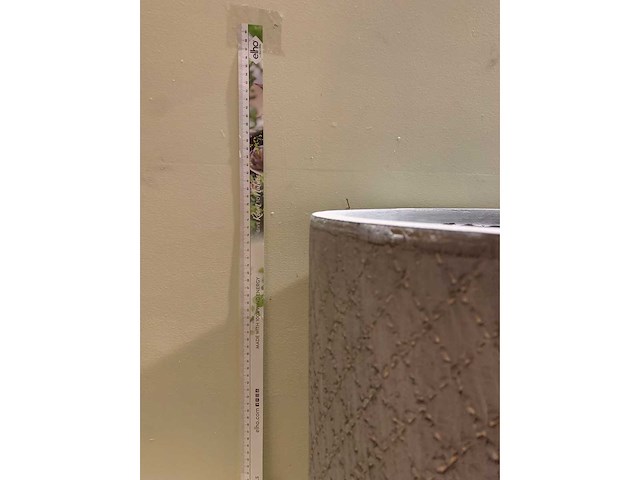 Bloempotten - afbeelding 2 van  4