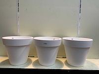 Bloempotten - afbeelding 1 van  3