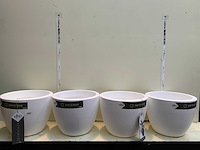 Bloempotten - afbeelding 1 van  3