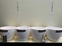 Bloempotten - afbeelding 1 van  3