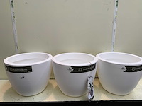 Bloempotten - afbeelding 1 van  3