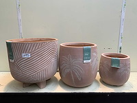 Bloempotten - afbeelding 1 van  4