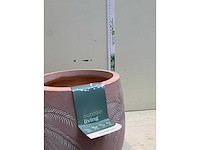 Bloempotten - afbeelding 3 van  4