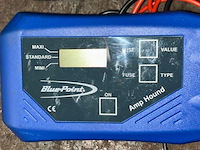 Blue point amp hound - afbeelding 2 van  5