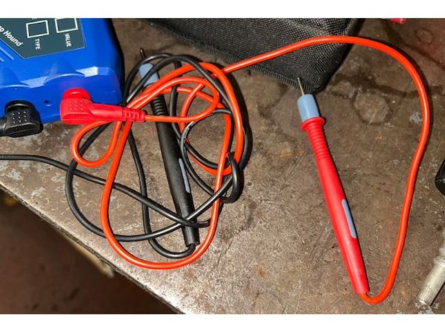 Blue point amp hound - afbeelding 3 van  5