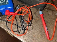 Blue point amp hound - afbeelding 3 van  5