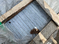 Blue stone honed antic natuursteen tuintegels ca.13,5m2 - afbeelding 2 van  4