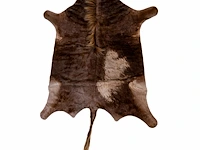 Blue wildebeest (connochaetes taurinus) hide rug, 180 x 150 cm
