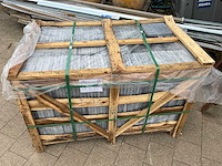 Bluestone tumbled premium natuursteen tuintegel ca. 54m2 - afbeelding 4 van  5